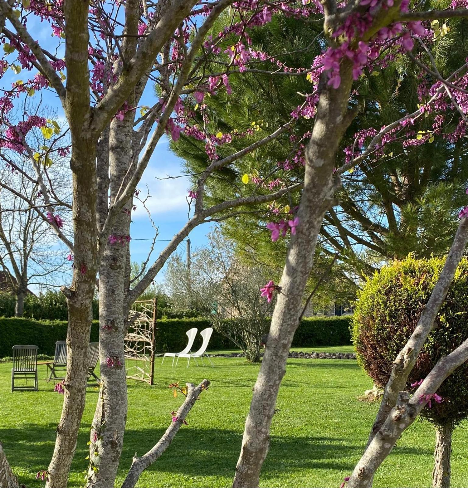 Gite Et Studios Les Barongeres Farges-lès-Chalon エクステリア 写真