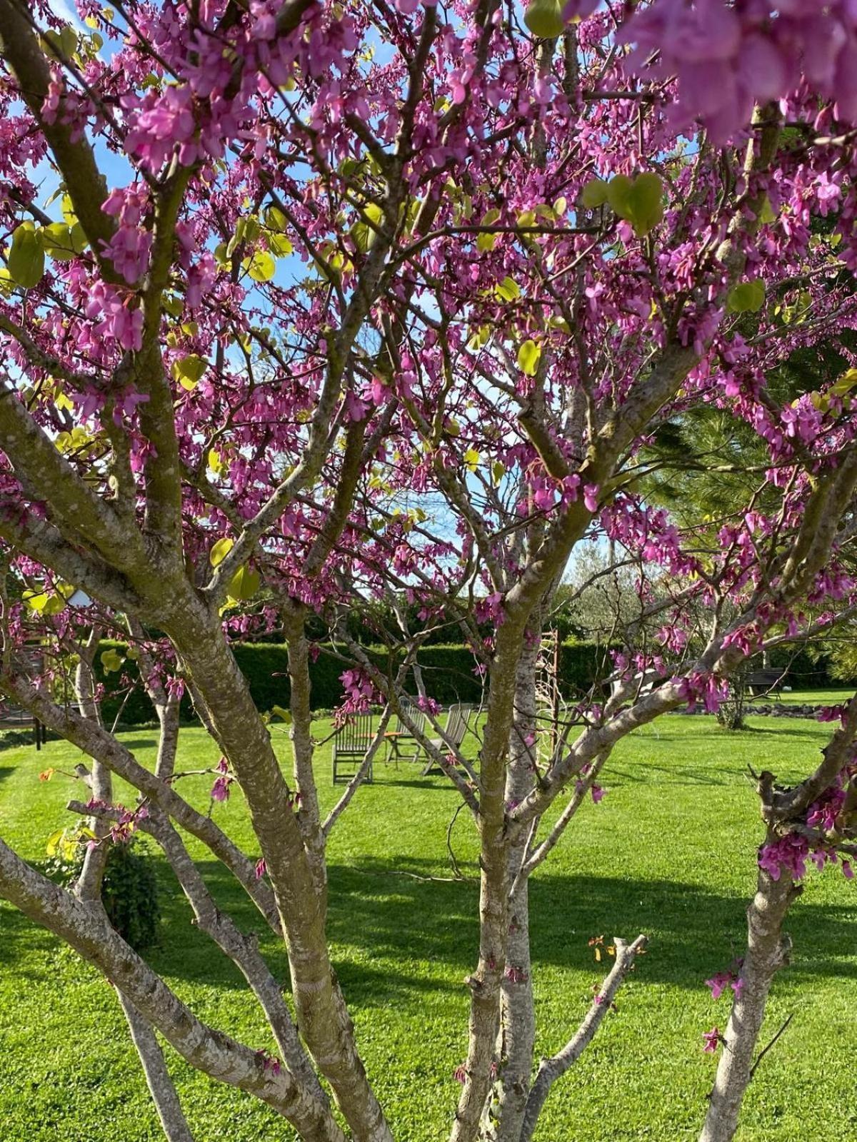 Gite Et Studios Les Barongeres Farges-lès-Chalon エクステリア 写真
