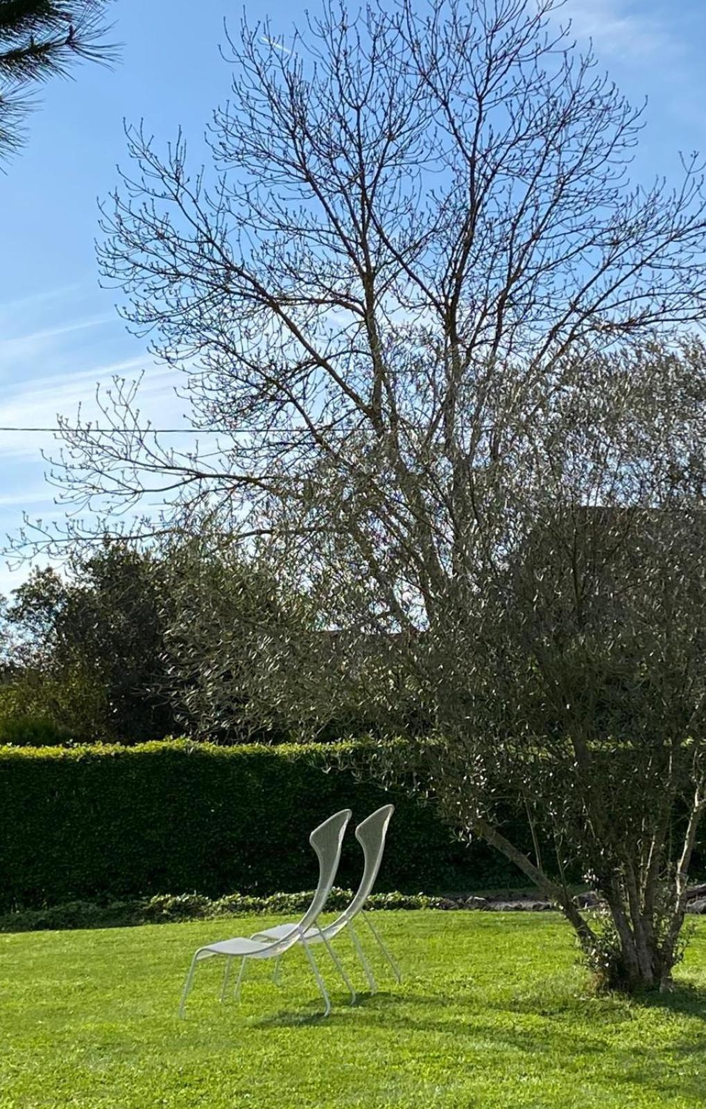 Gite Et Studios Les Barongeres Farges-lès-Chalon エクステリア 写真
