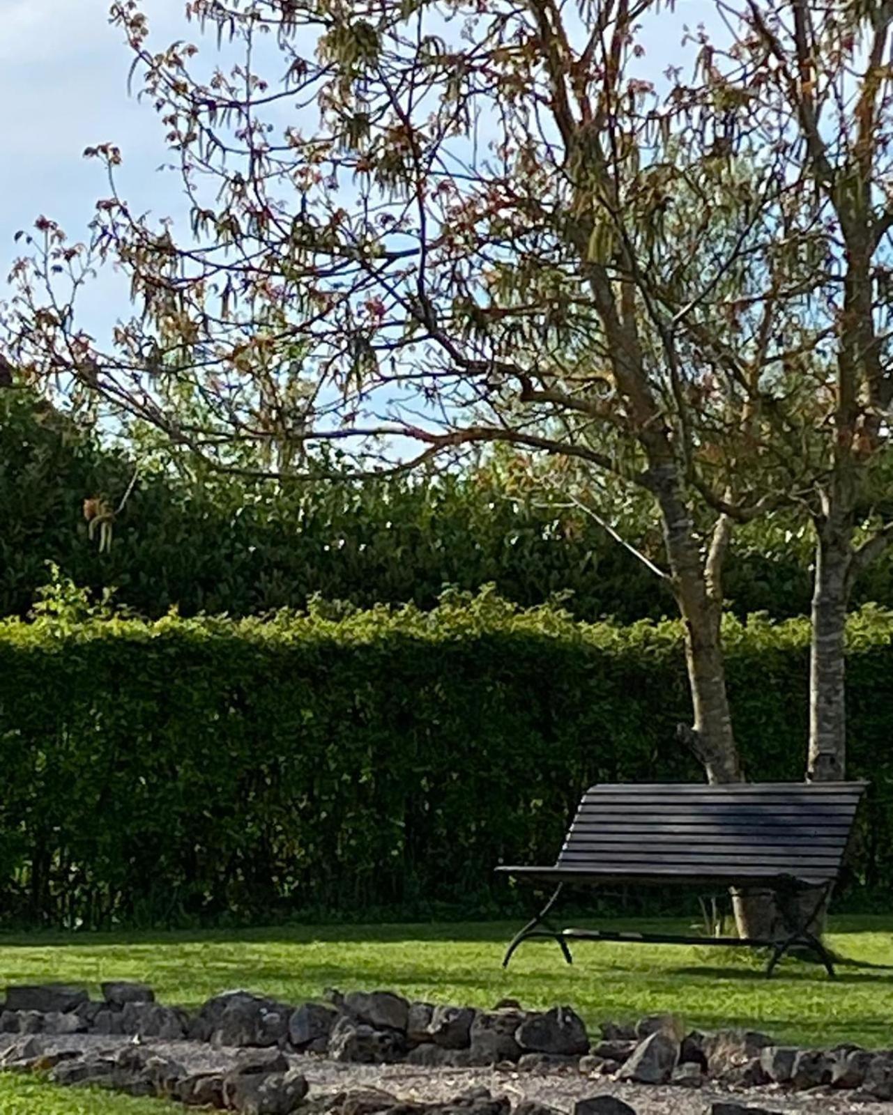Gite Et Studios Les Barongeres Farges-lès-Chalon エクステリア 写真