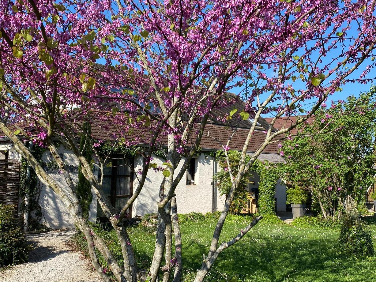 Gite Et Studios Les Barongeres Farges-lès-Chalon エクステリア 写真