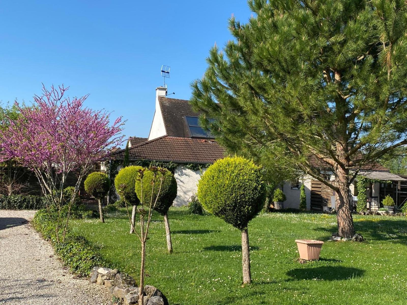 Gite Et Studios Les Barongeres Farges-lès-Chalon エクステリア 写真