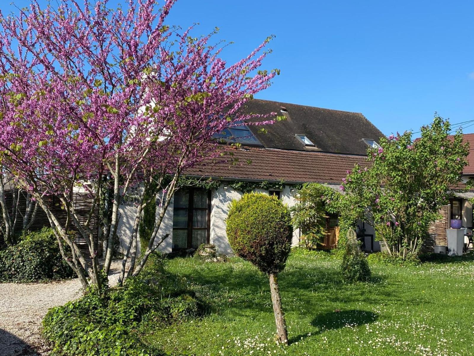 Gite Et Studios Les Barongeres Farges-lès-Chalon エクステリア 写真